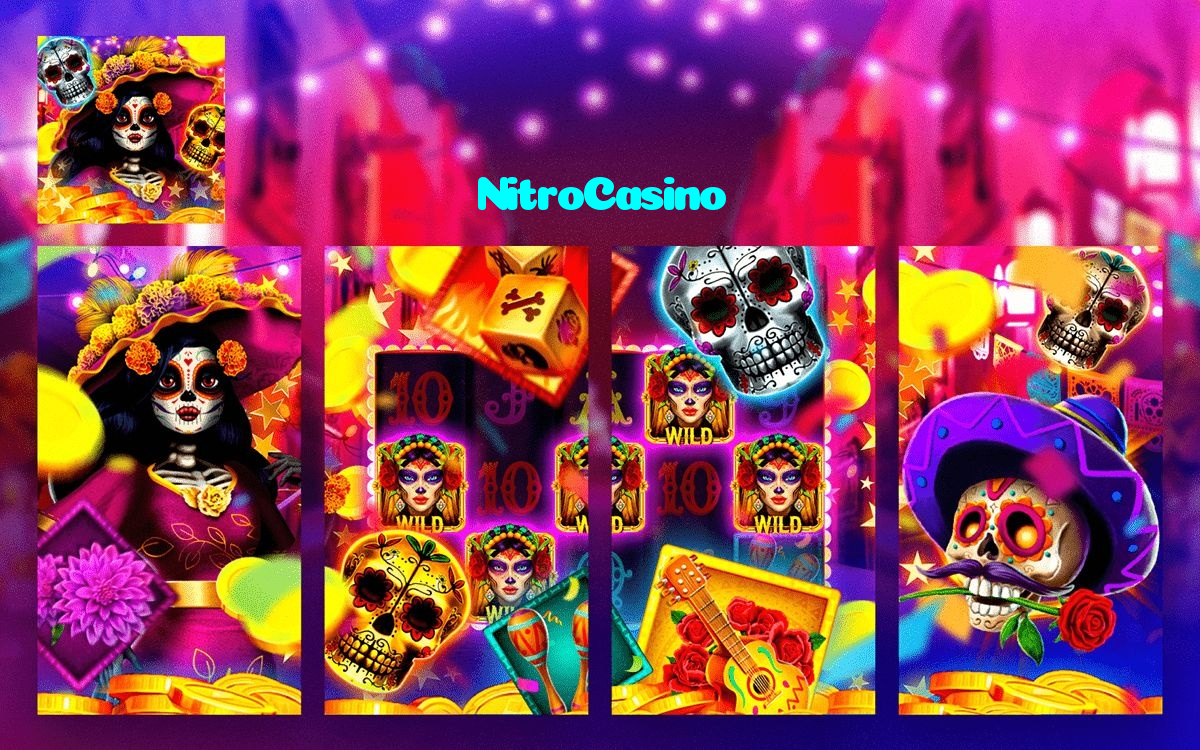 available types of NitroCasino bet including pre-match live express and system bets